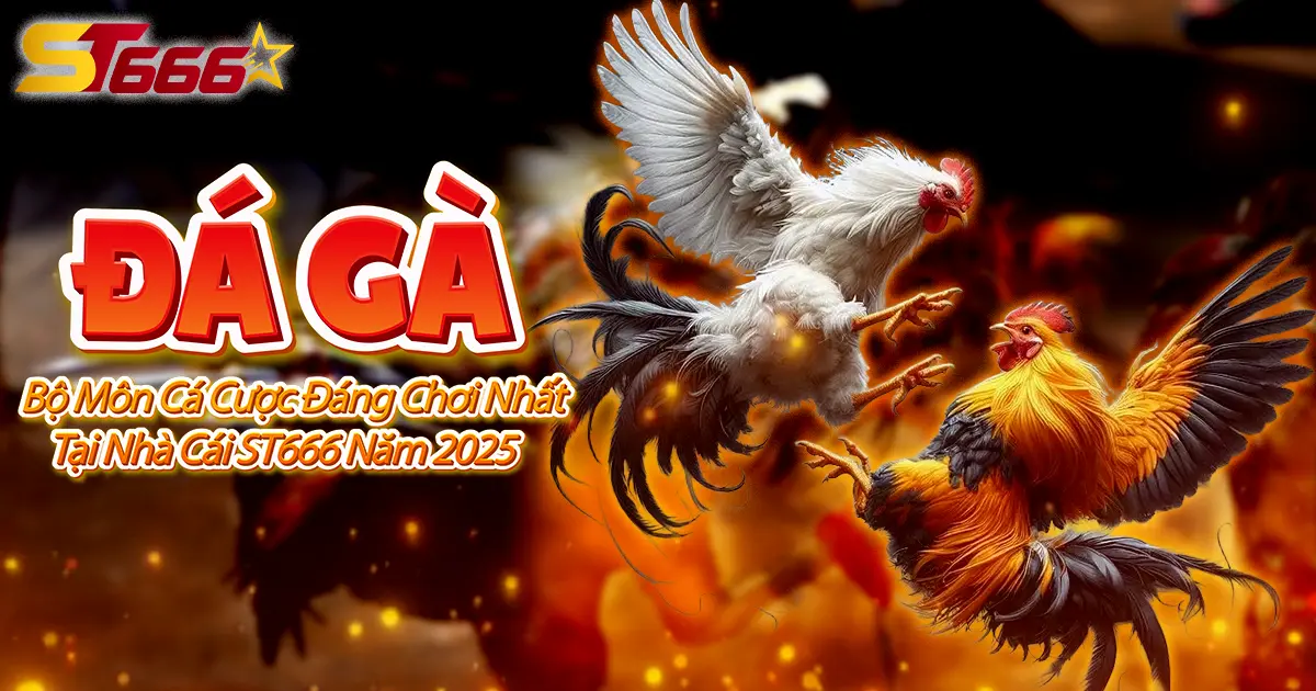 da-ga-ST666