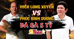 Phúc Bình Dương đá gà 5 tỷ