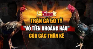 Trận gà 50 tỷ